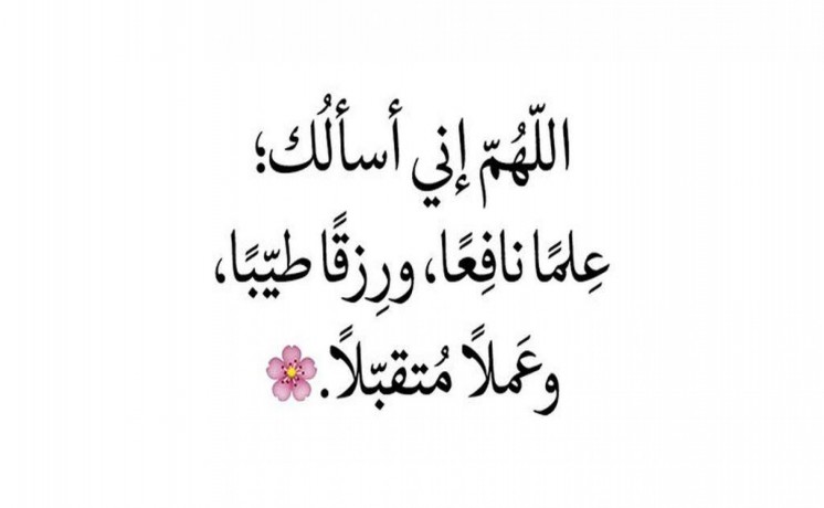 ana-sory-abhth-aan-aaml-fy-ay-mjal-big-1