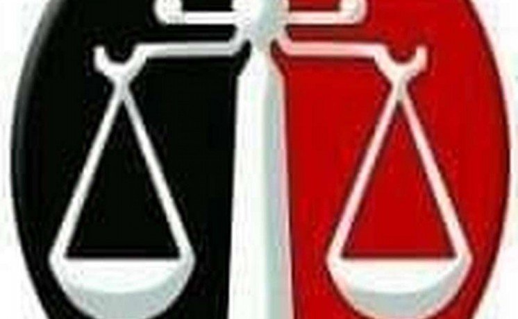 mhamy-hasl-aal-bkalryos-alshrf-fy-alkanon-abhth-aan-aaml-mnasb-big-0