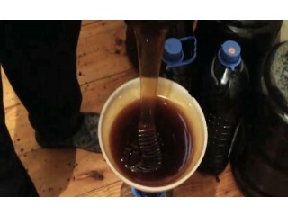 
                        Pure Organic Georgia Honey                                            