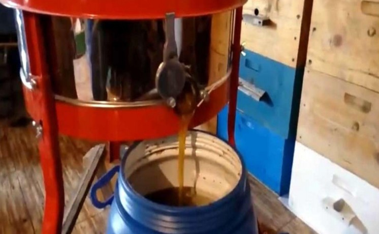 pure-organic-georgia-honey-big-5