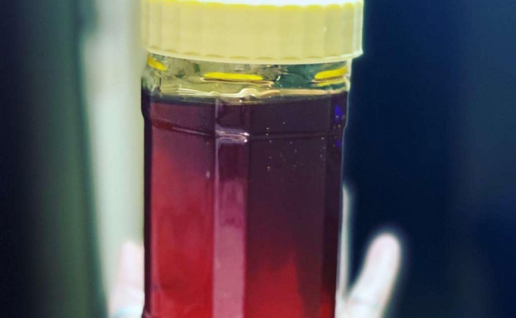 pure-organic-georgia-honey-big-0