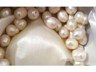 .. لؤلؤ طبيعي بحريني ممتاز orgenal pearl Bahrain pearl