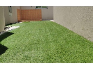 
                        Villa in Dubai Al Warqa'a for rent                                            
