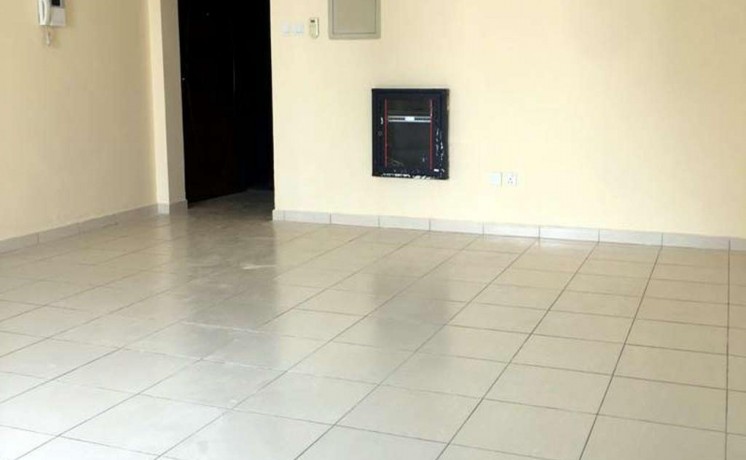 1-bhk-in-palm-1-tower-direct-from-the-owner-big-10