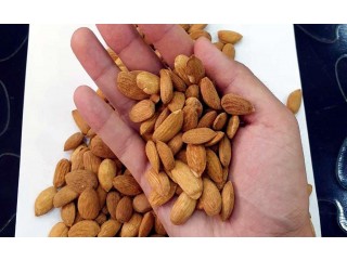 
                        جملة فقط الهيل الهندي درجة أولى لوز اوزبكي درجة أولى لوز أفغاني درجة أولى                                            