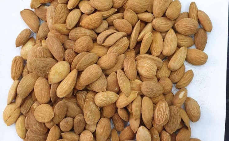 jml-fkt-alhyl-alhndy-drj-aol-loz-aozbky-drj-aol-loz-afghany-drj-aol-big-5