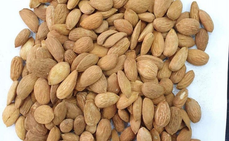 jml-fkt-alhyl-alhndy-drj-aol-loz-aozbky-drj-aol-loz-afghany-drj-aol-big-3