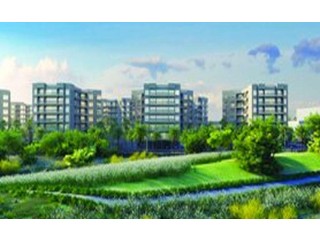 
                        apartment area 500 sqm for rent                                            