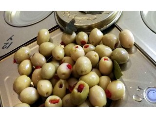 
                        شركة دومان لتجارة الزيوت والزيتون في اسطنبول                                            