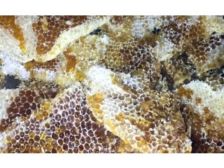 
                        عسل سمر (برم ) تربيه عماني مع الشمع                                            