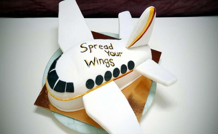 cakes-and-cupcakes-big-0