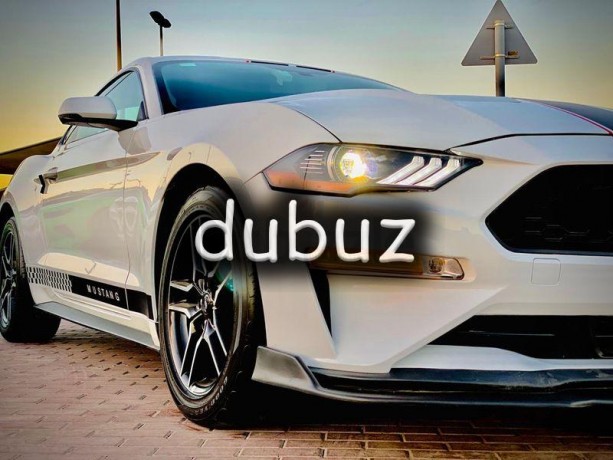 monthly-1070-23-lt-turbo-eco-boost-premium-full-option-big-10