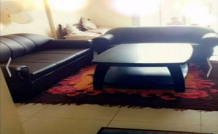 apartment-fifth-floor-furnished-is-up-for-rent-big-0