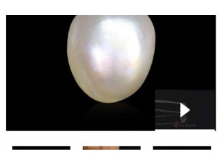 
                        لؤلؤ بحريني اصلي للبيع                                            