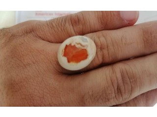 
                        أوبال مع الشهادة                                            