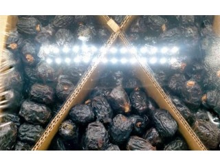 
                        عجوة المدينه                                            