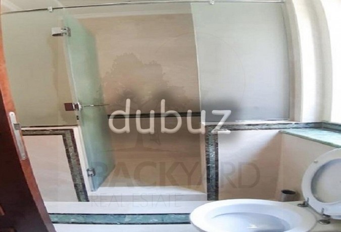 for-emiratis-amp-gcc-only-luxurious-best-location-big-0