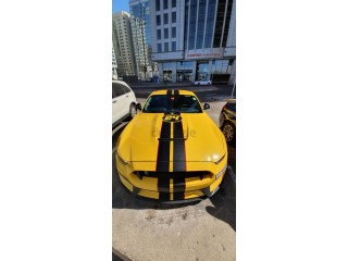 
                            
                            Immaculate Mustang Shelby GT350
                            
                        