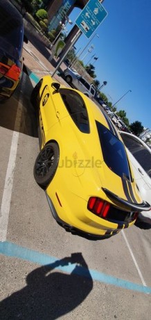 immaculate-mustang-shelby-gt350-big-3