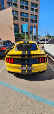 immaculate-mustang-shelby-gt350-big-2