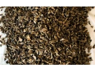 
                        بخور موري الهندي الاصلي                                            