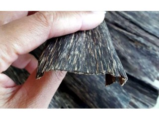 
                        افضل انواع العود الطبيعي افخم بخور ودهن عود                                            