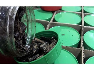 
                        بخور خصوصي رقم واحد                                            