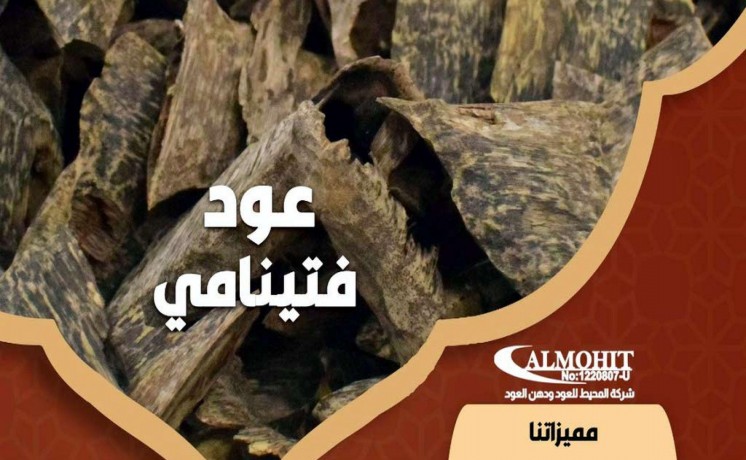 aaod-fytnamy-sobr-tbyaay-mn-alghab-oshhn-mjany-big-4