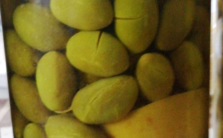 zyt-zyton-aard-rmdan-big-5