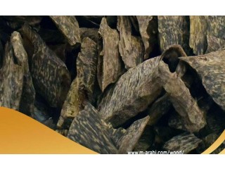 
                        عود فيتنامي                                            