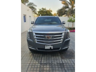 
                            
                            Platinum Escalade in excellent condition
                            
                        