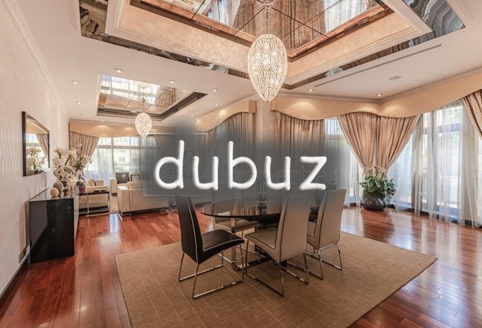 priced-to-sell-in-the-heart-of-emirates-hills-big-20