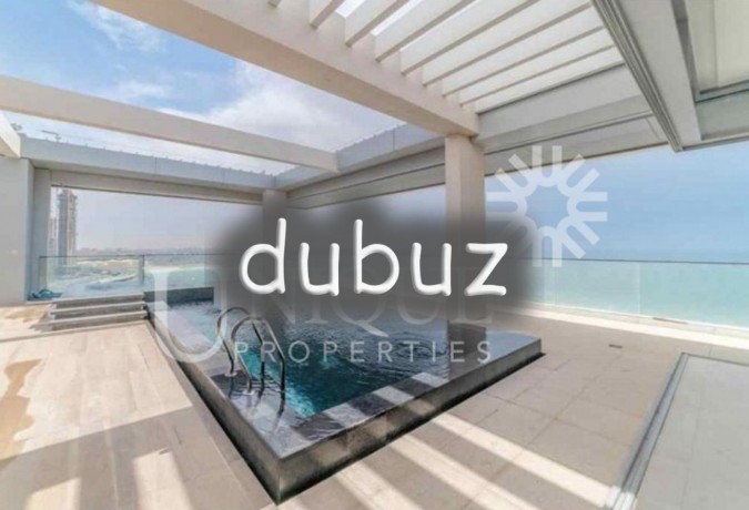 penthouse-with-private-pool-and-jacuzzi-big-12