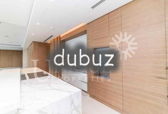 penthouse-with-private-pool-and-jacuzzi-big-10