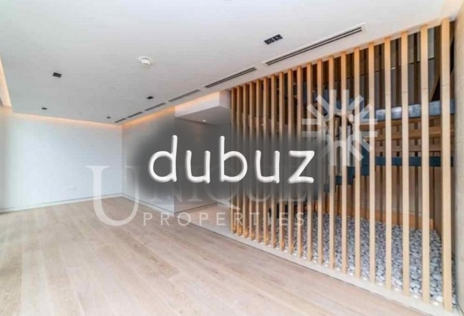penthouse-with-private-pool-and-jacuzzi-big-9