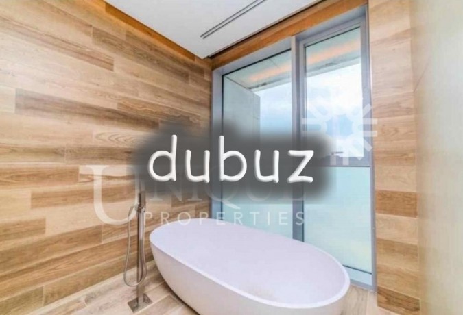 penthouse-with-private-pool-and-jacuzzi-big-5