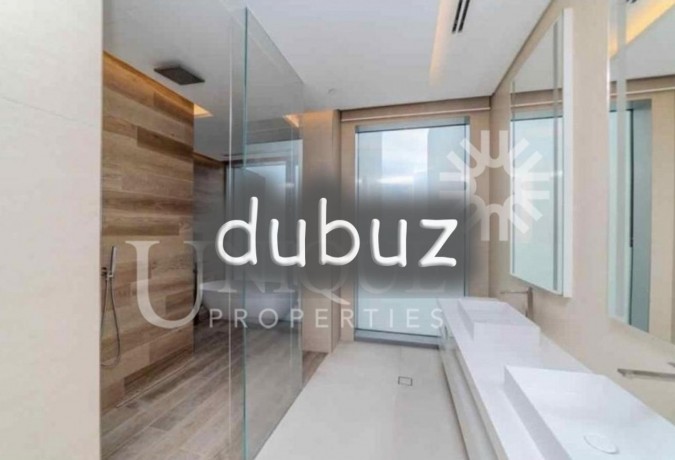 penthouse-with-private-pool-and-jacuzzi-big-2