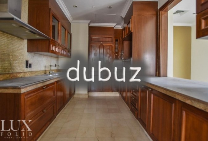 ot-specialist-4-maid-penthouse-vacant-big-3