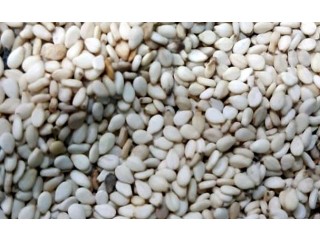 
                        سمسم سوداني ( قضارف )                                            