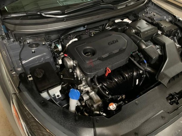 hyundai-sonata-us-import-customs-card-2019-big-4