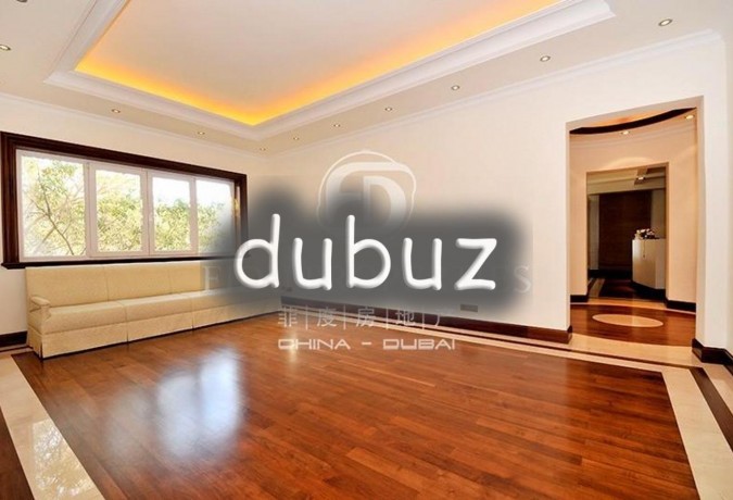 unique-one-of-a-kind-masterpiece-with-basement-big-7