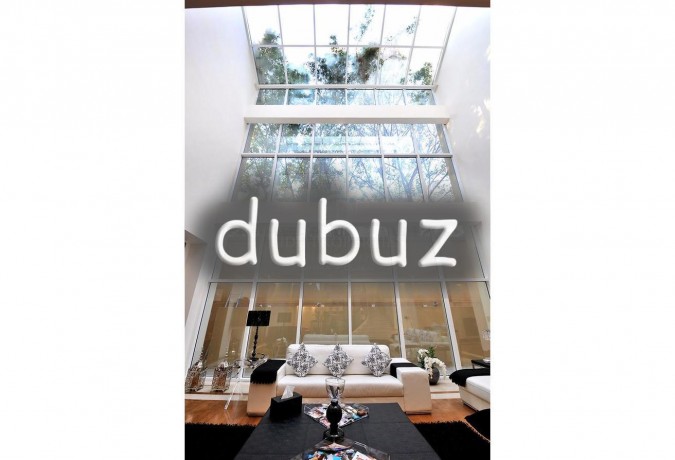 unique-one-of-a-kind-masterpiece-with-basement-big-6