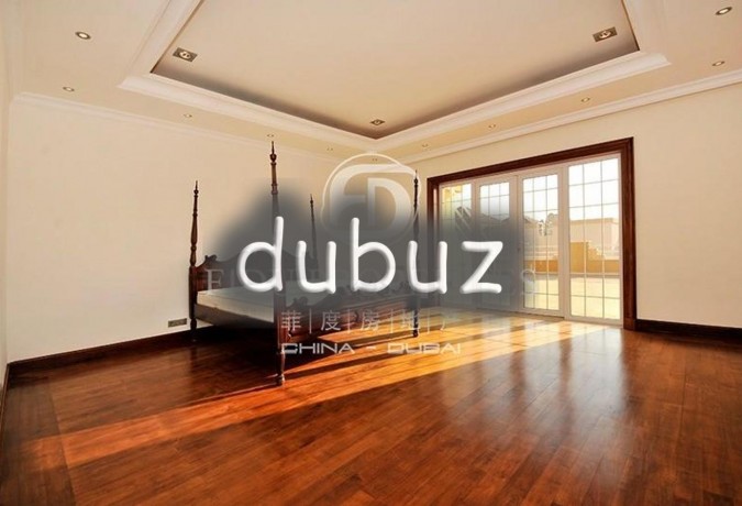 unique-one-of-a-kind-masterpiece-with-basement-big-4
