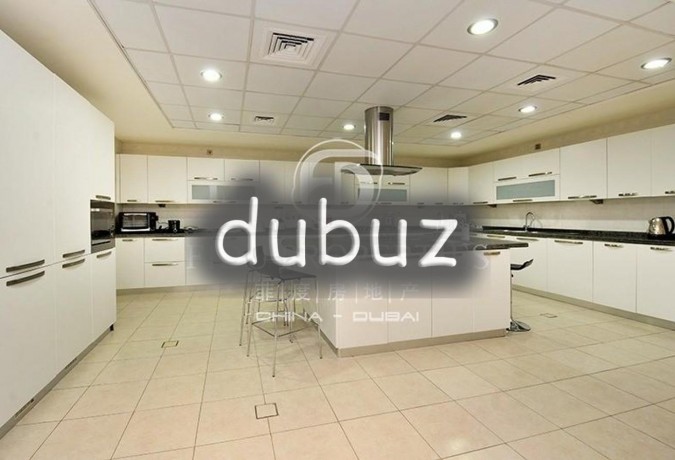 unique-one-of-a-kind-masterpiece-with-basement-big-2