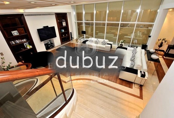 unique-one-of-a-kind-masterpiece-with-basement-big-0
