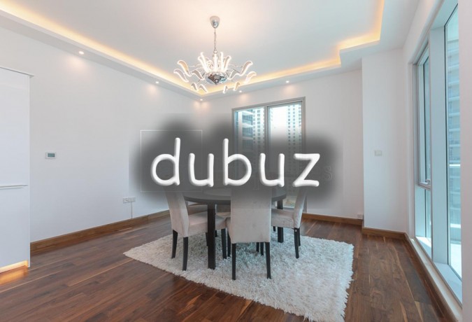 unique-upgraded-3br-apt-with-full-marina-views-big-7
