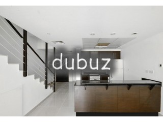 Gorgeous Arabian Villa with Garden + Rental Back