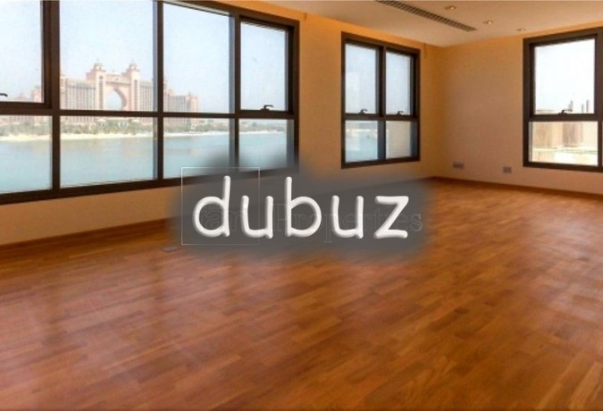 tip-high-tech-custom-brand-new-luxury-big-17