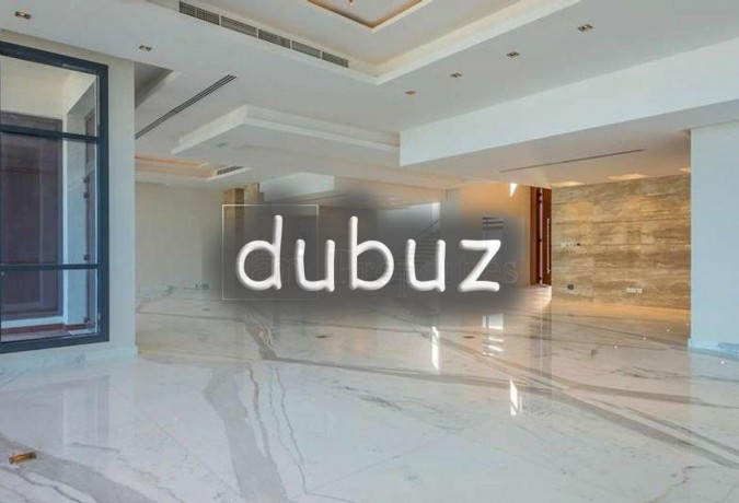 tip-high-tech-custom-brand-new-luxury-big-0