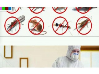 
                        بلوتو لخدمات التنظيف ومكافحة الحشرات 0545429200                                            